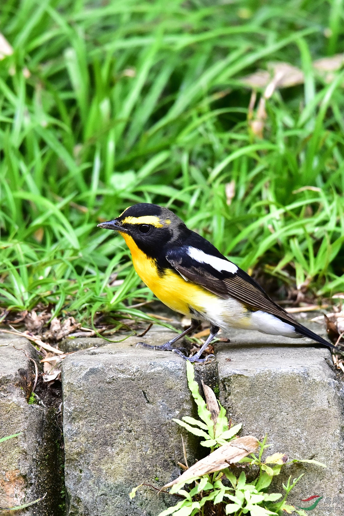 DSC_0452.JPG