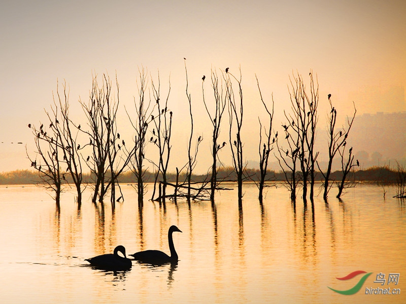 ����Ͽ ����.jpg