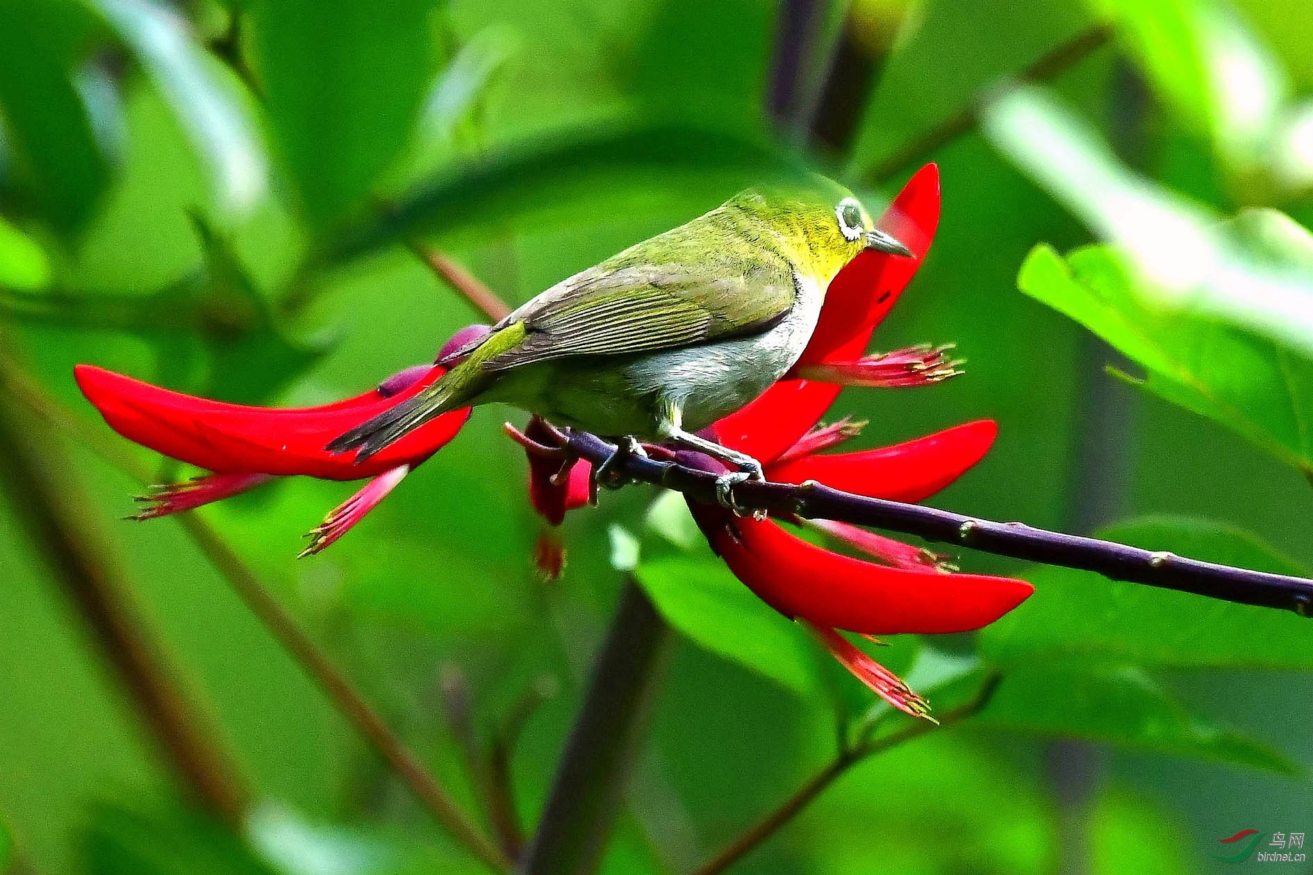 DSC_5365_����.jpg