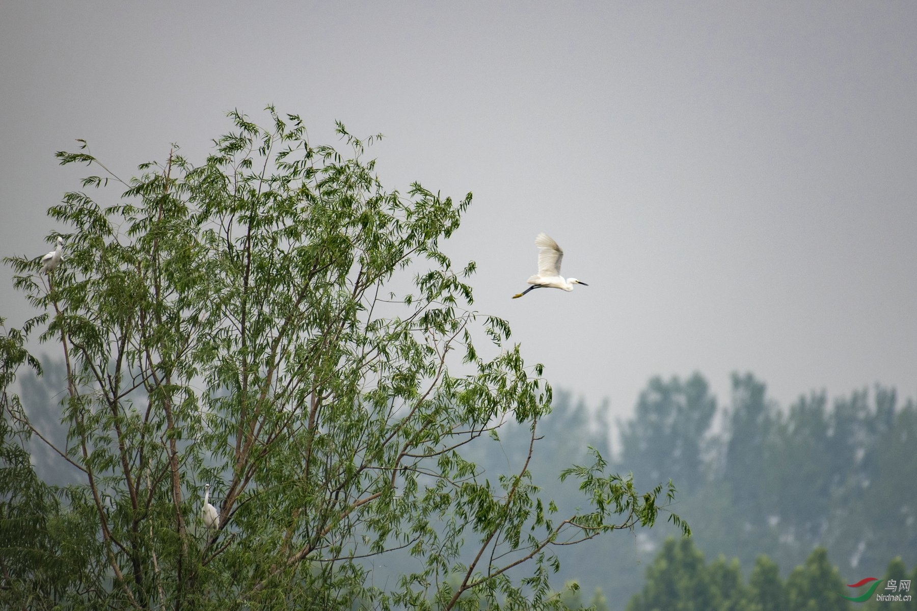D85_7128.jpg