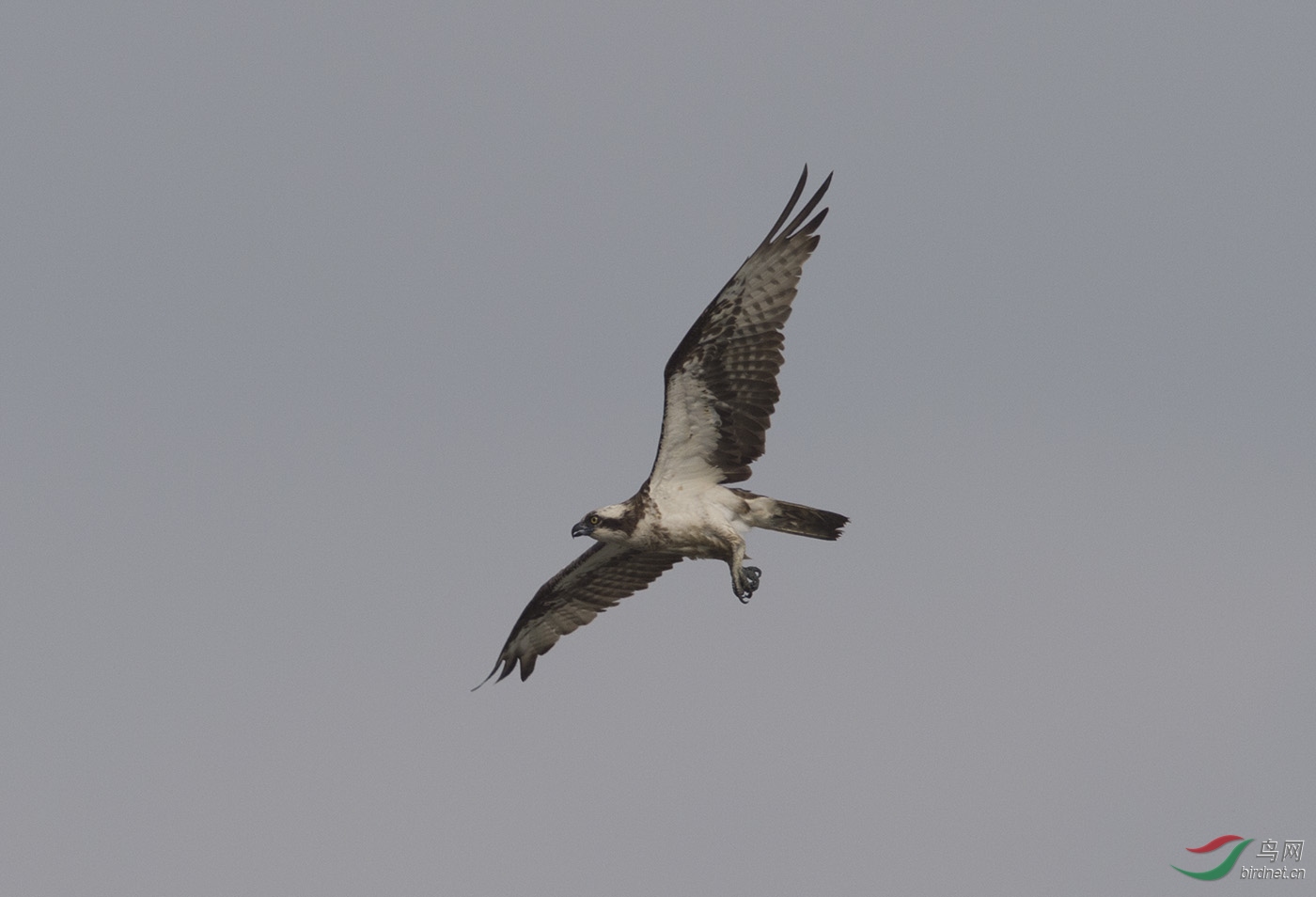 D4S_9420.jpg