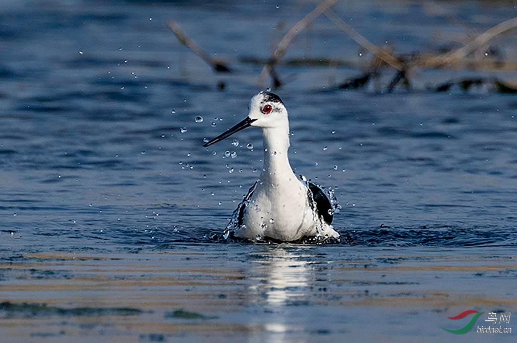 3S5A8895  02_����.jpg