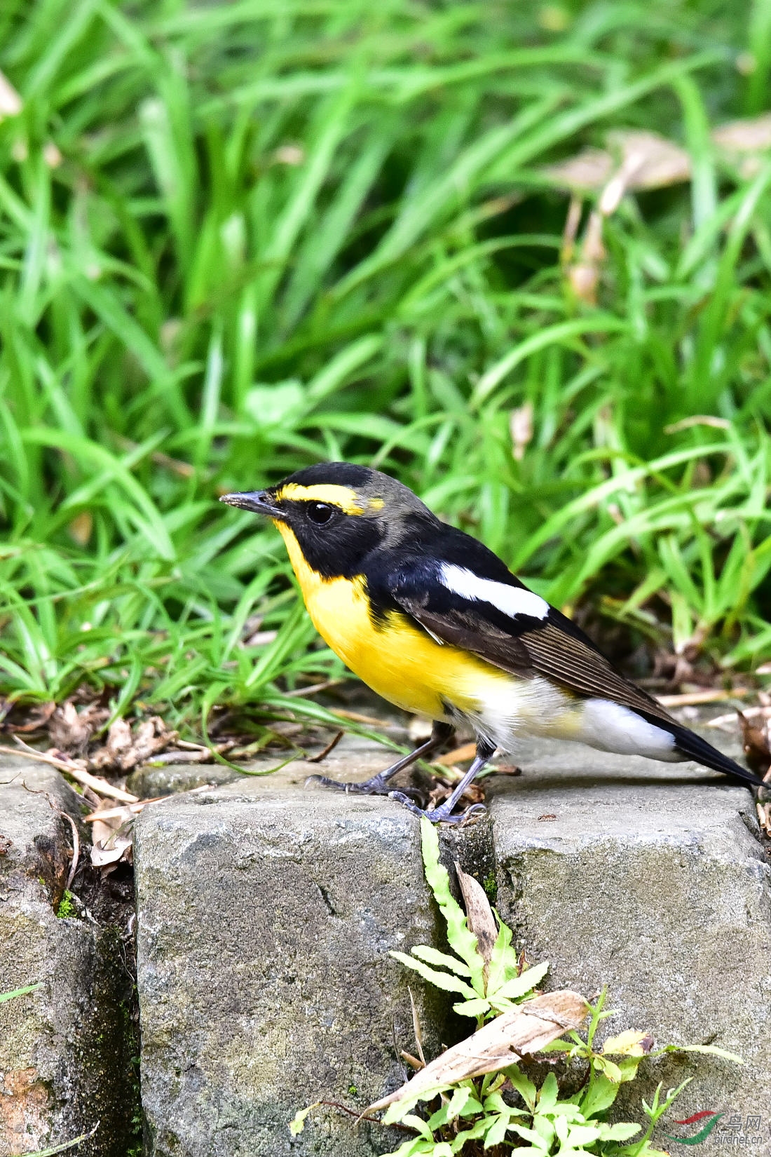 DSC_0456.JPG