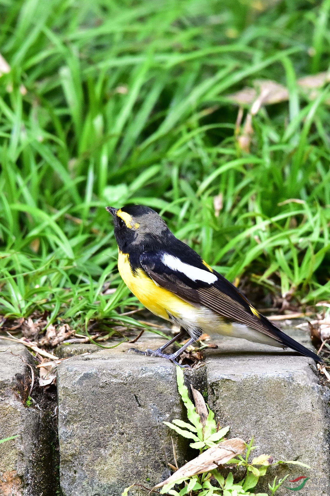 DSC_0457.JPG