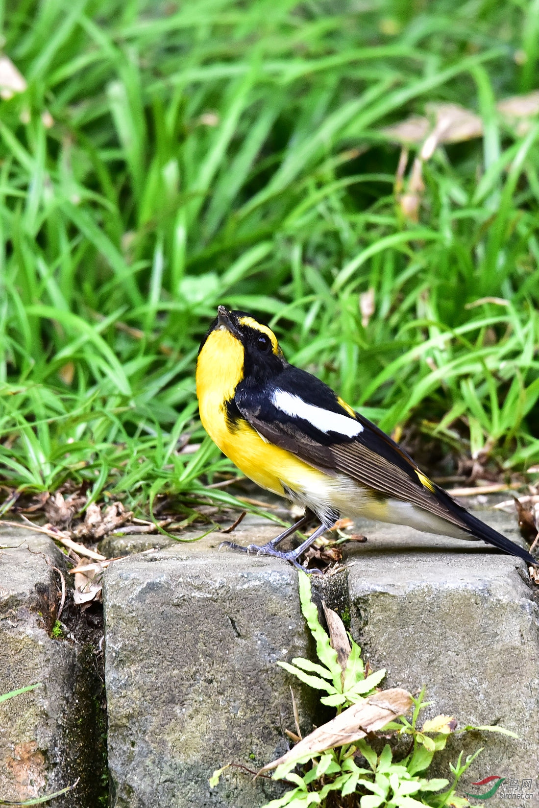 DSC_0458.JPG
