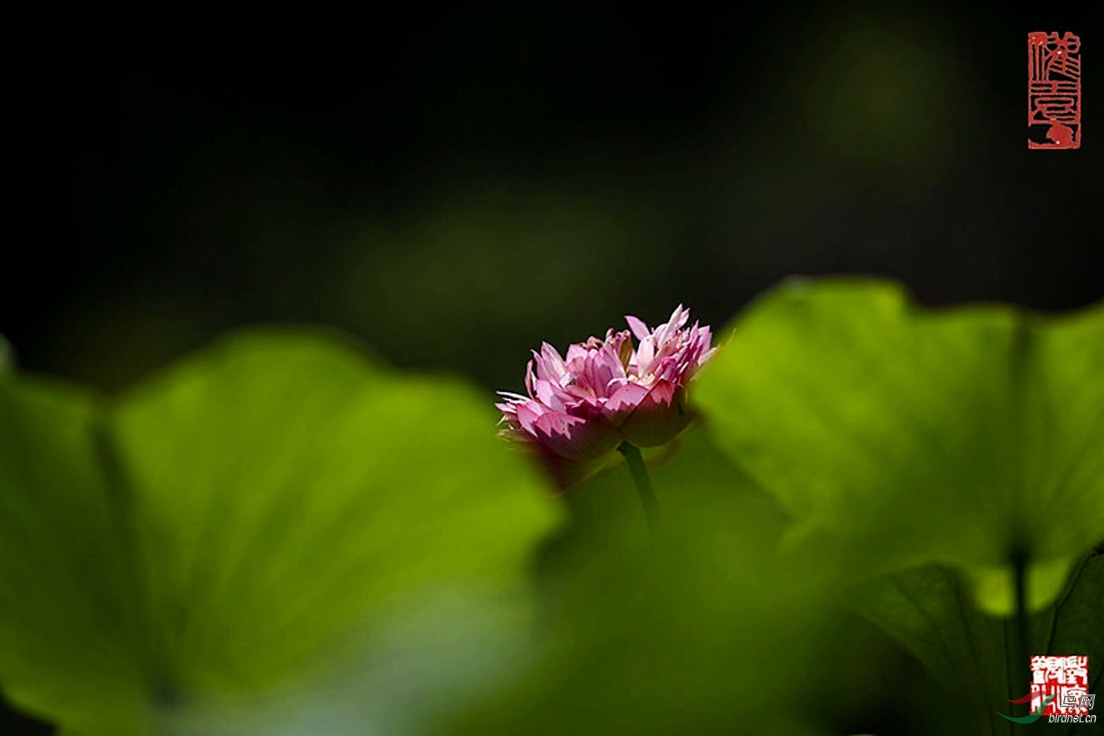 AA6CD219-555C-4570-82A7-98781E07E778.jpeg