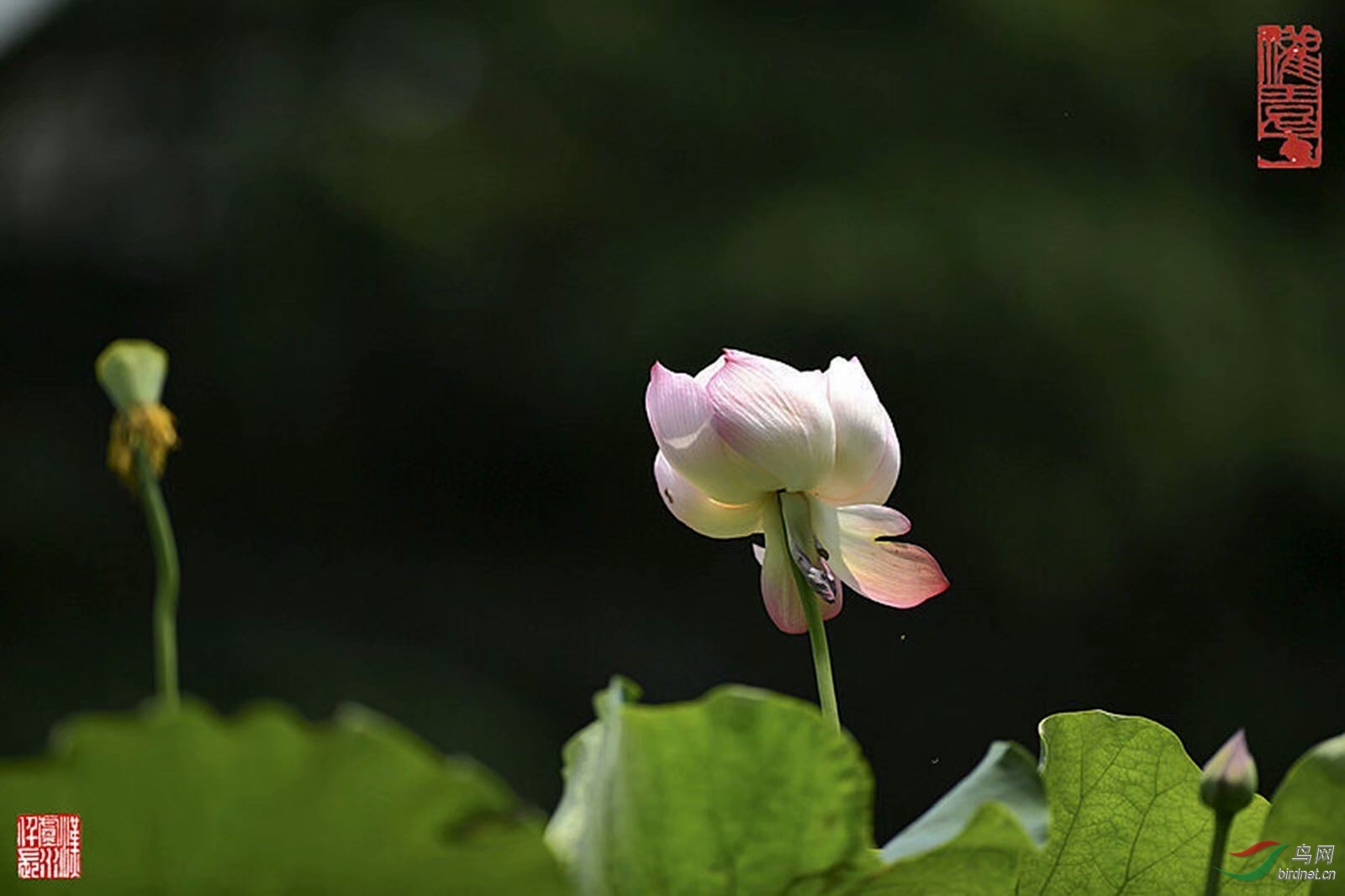 BEFF5C68-156F-4DD1-A23D-60887BC64F73.jpeg