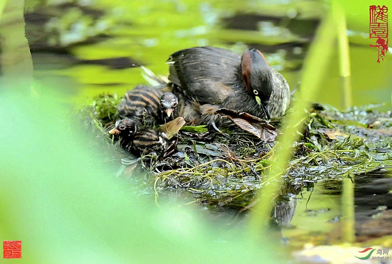 67E4CAE0-49A9-4086-9752-17E9347A77CB.jpeg