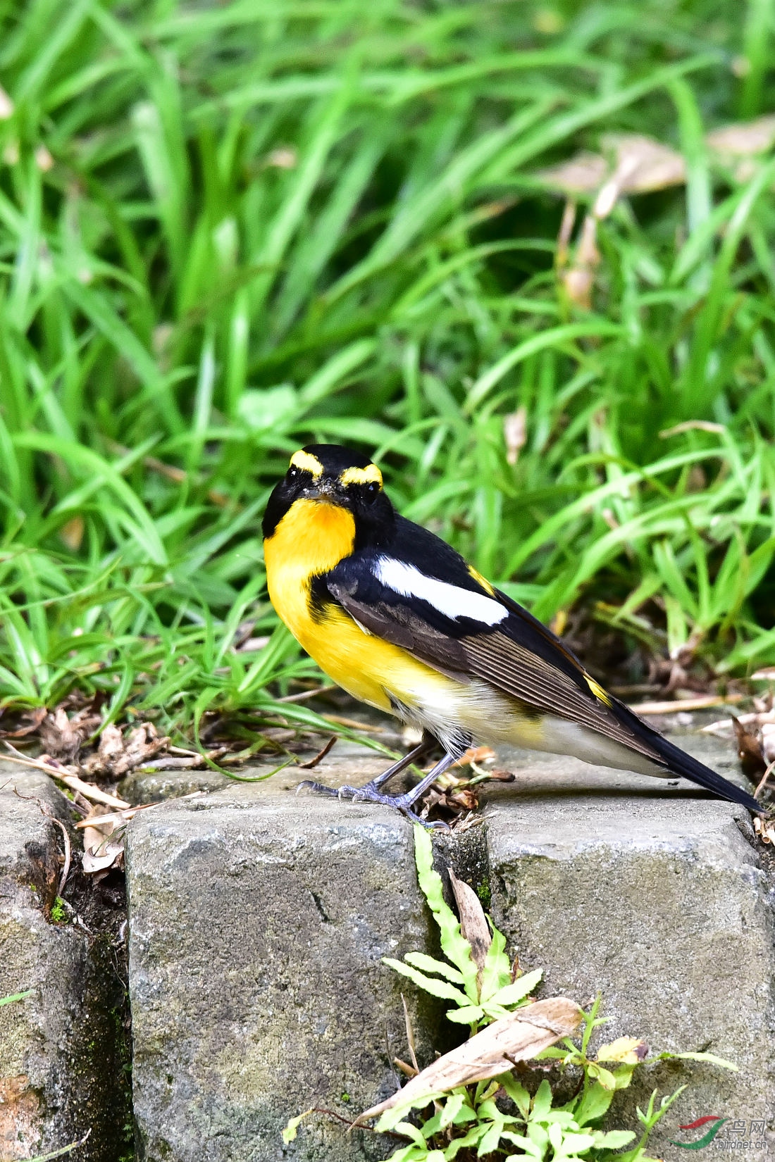 DSC_0459.JPG