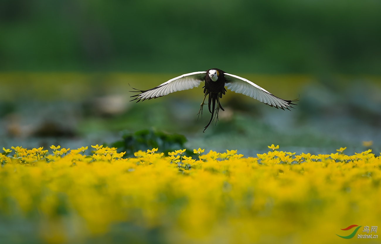 DSC_3394.jpg