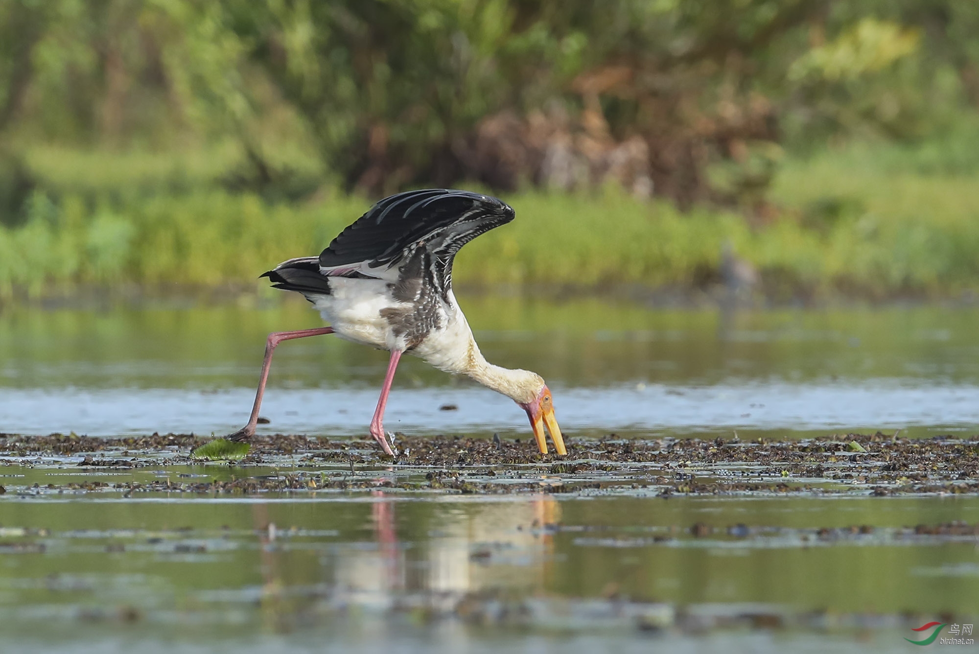 BT1I4293-.' (18).jpg