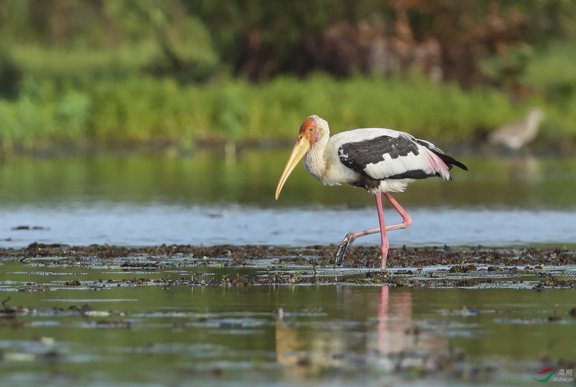 BT1I4293-.' (19).jpg