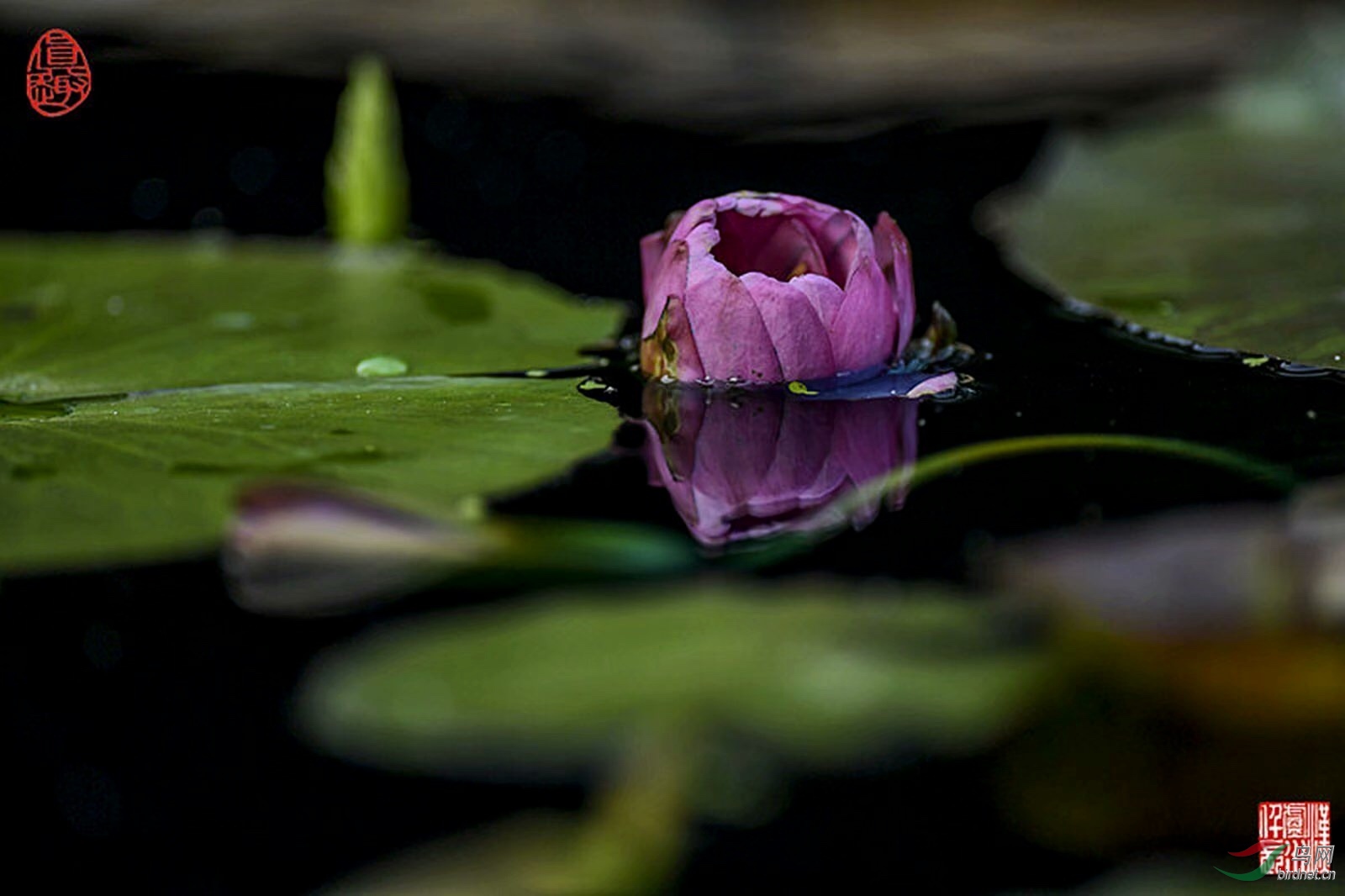 CB02C222-5F2D-4674-B968-870CF7FC93E3.jpeg