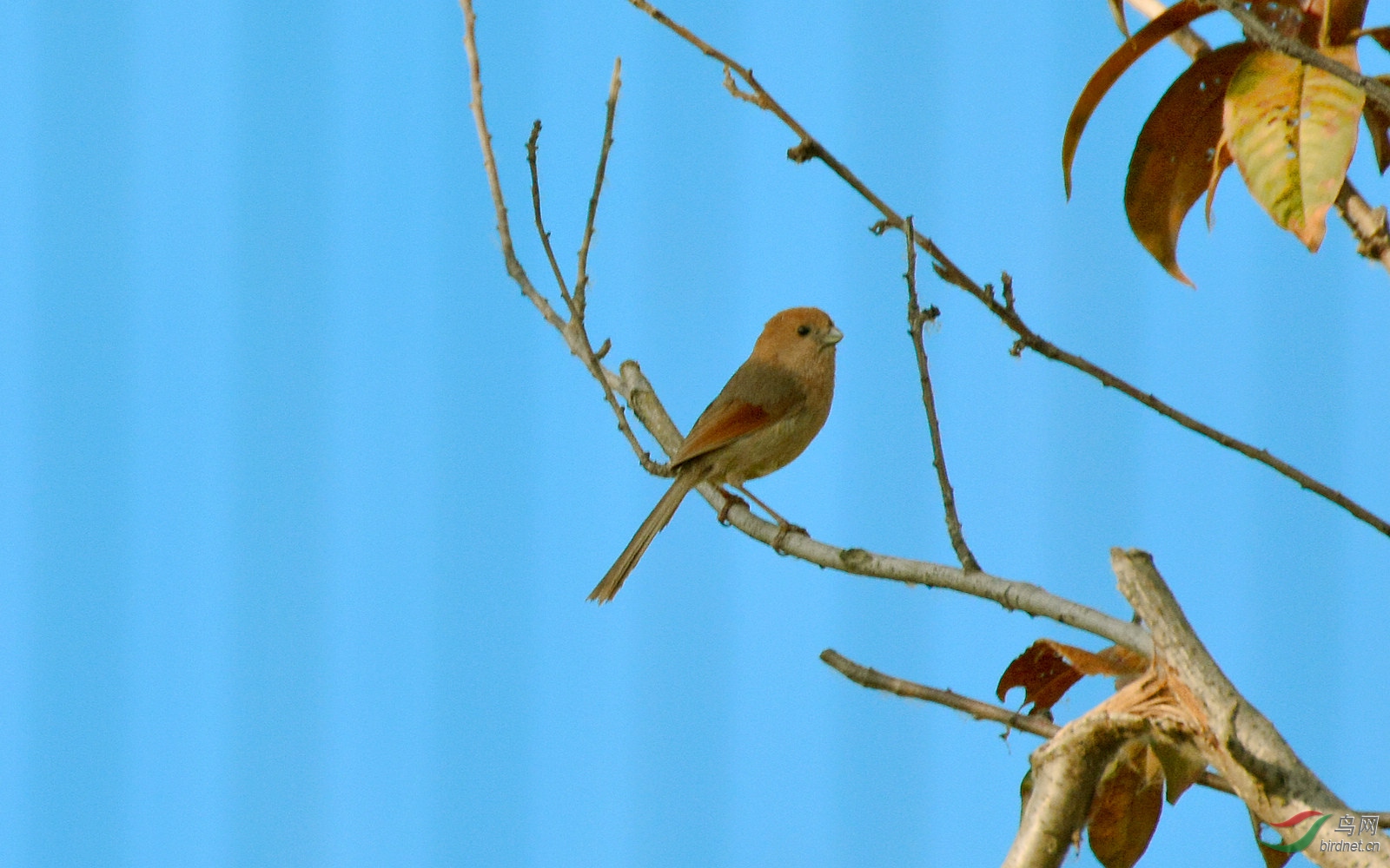 DSC_9586.JPG