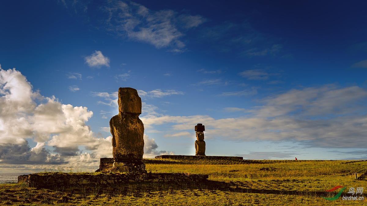 南美复活节岛上的巨型石像