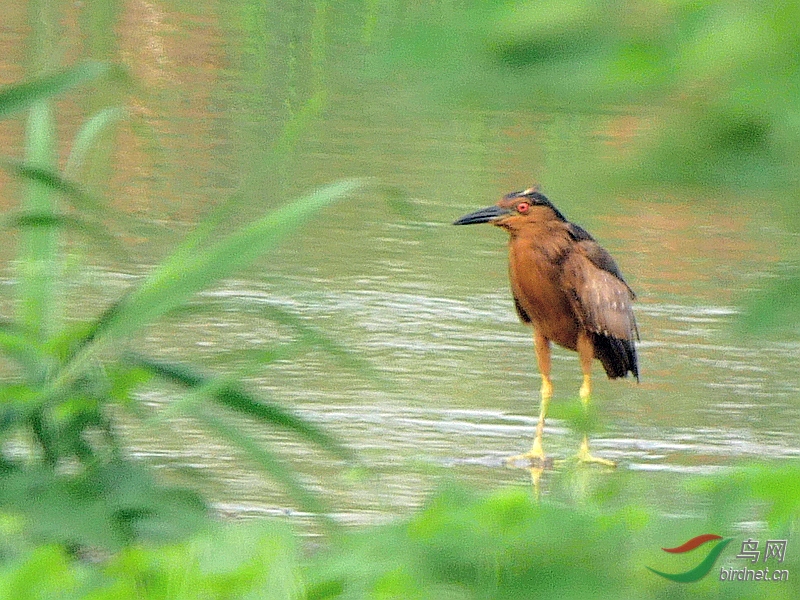 P2930874.JPG