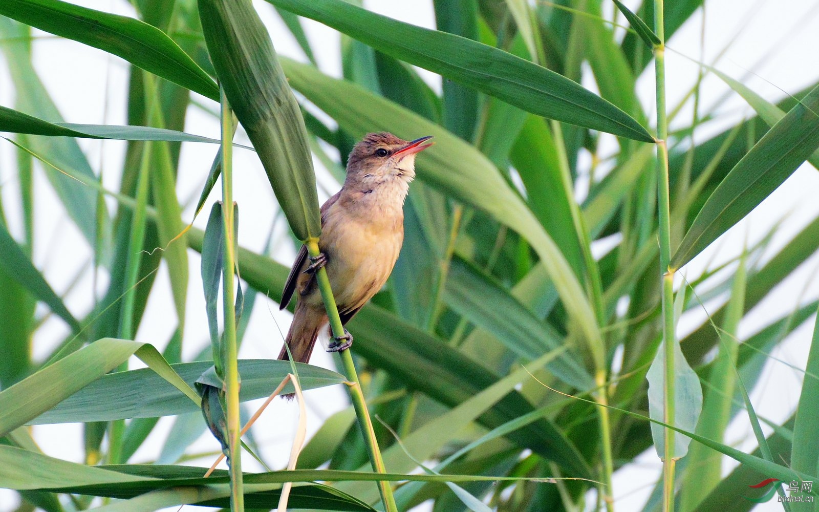 DSC_5472.JPG