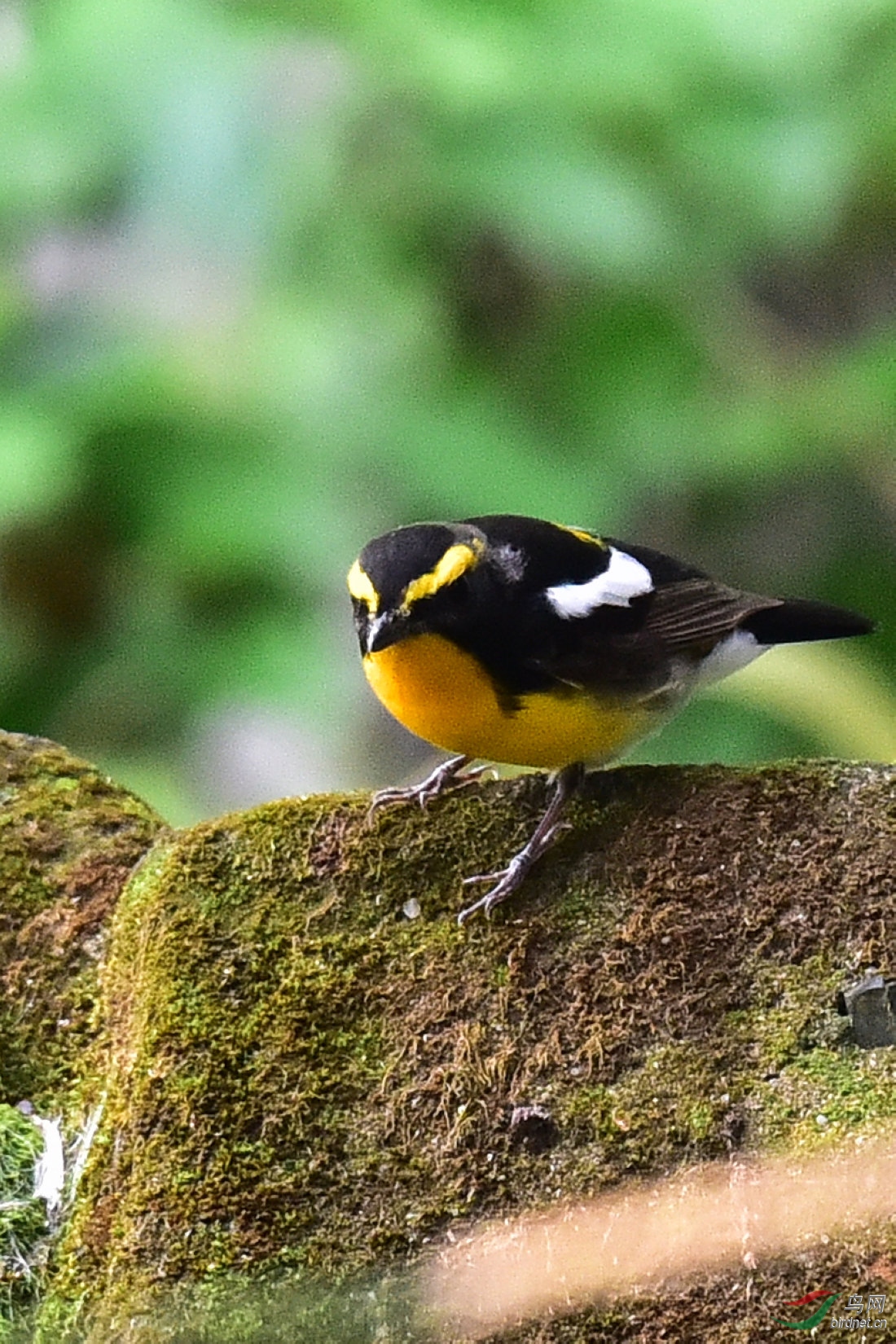DSC_0466.JPG