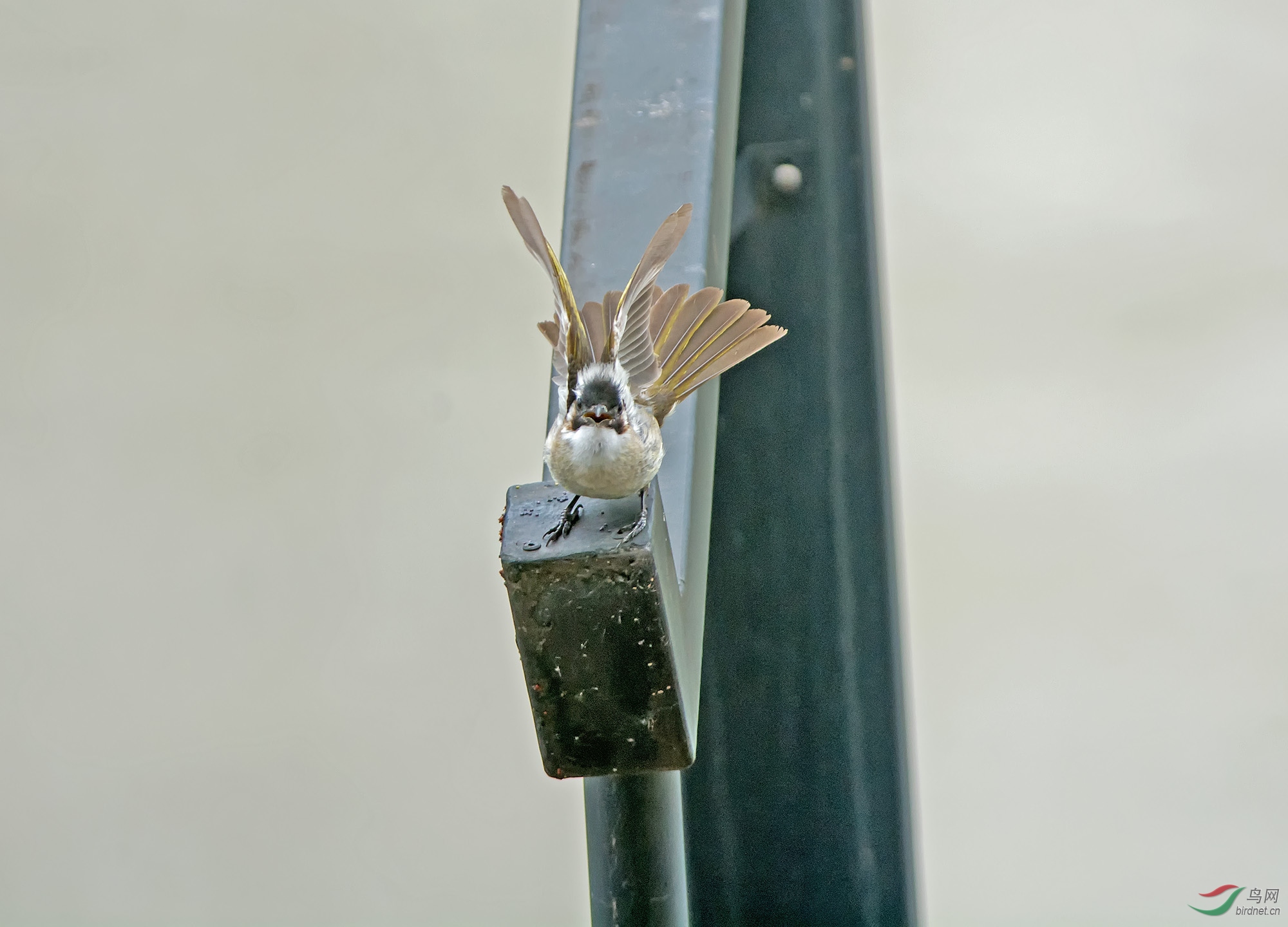 DSC_6407.jpg