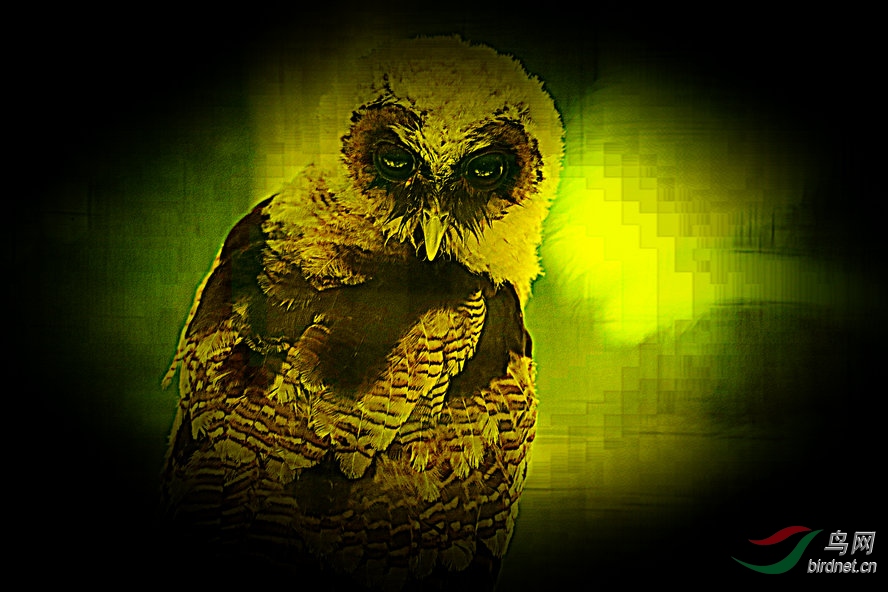 AQ1I8479_����_����.jpg