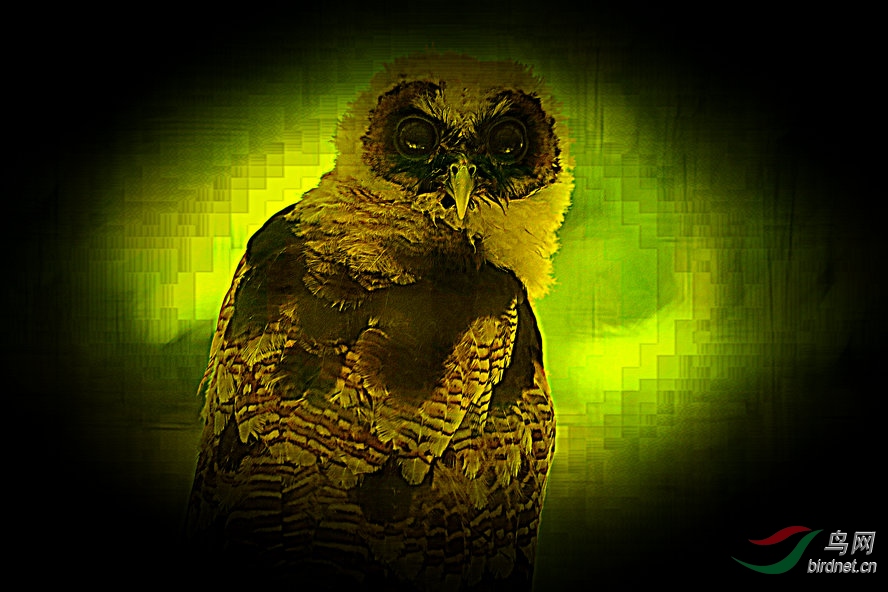 AQ1I8480_����_����.jpg