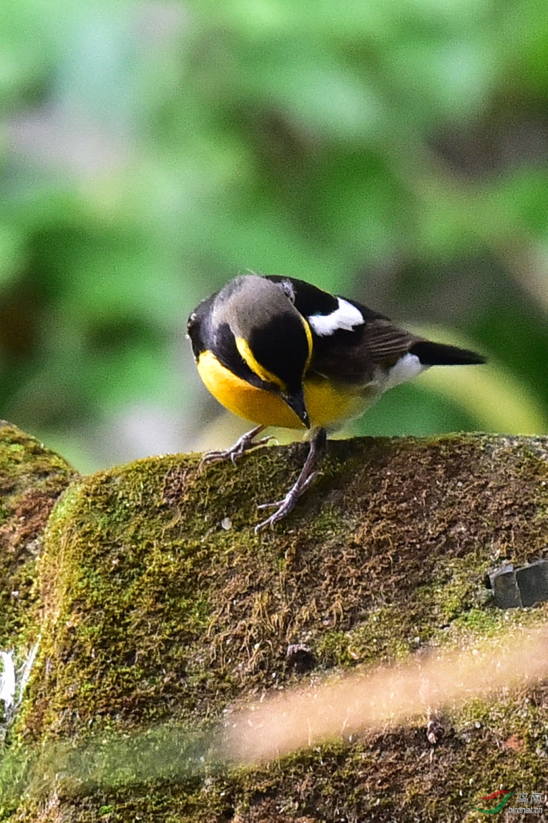 DSC_0467.JPG
