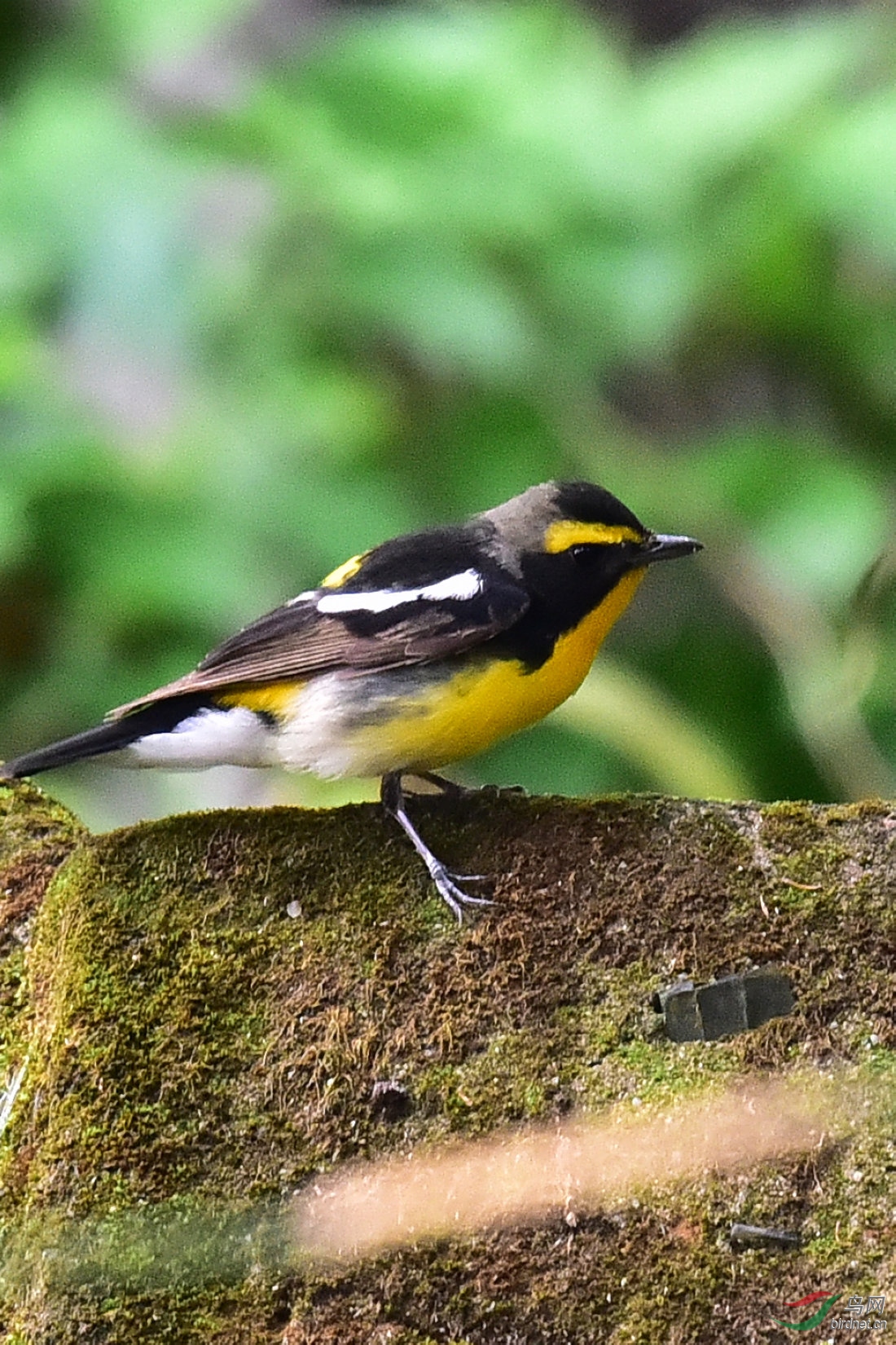 DSC_0468.JPG