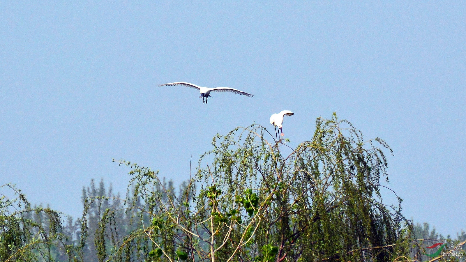 DSC_6356.JPG