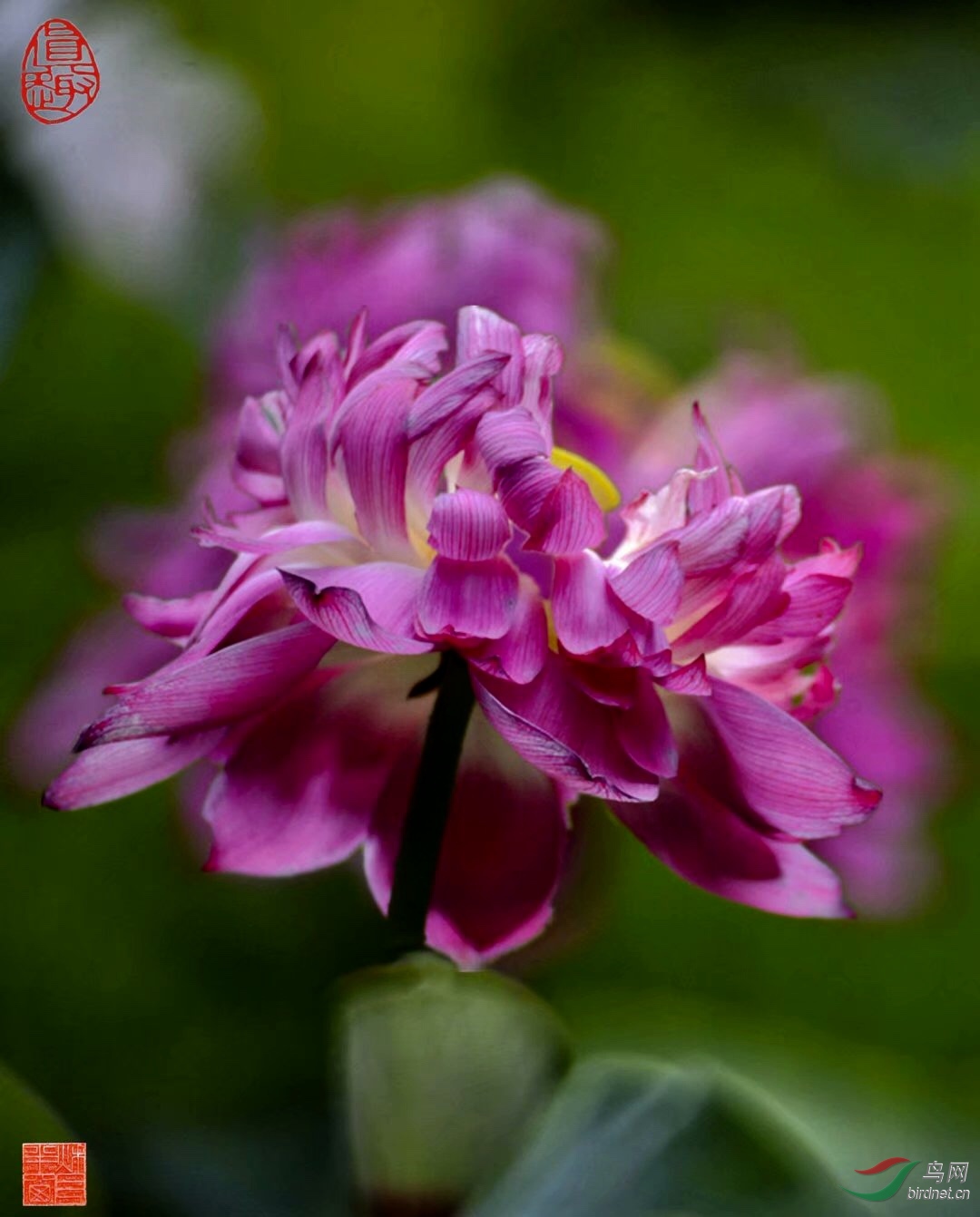 777A758E-571F-4BC1-B5E8-D195BD37A3CD.jpeg