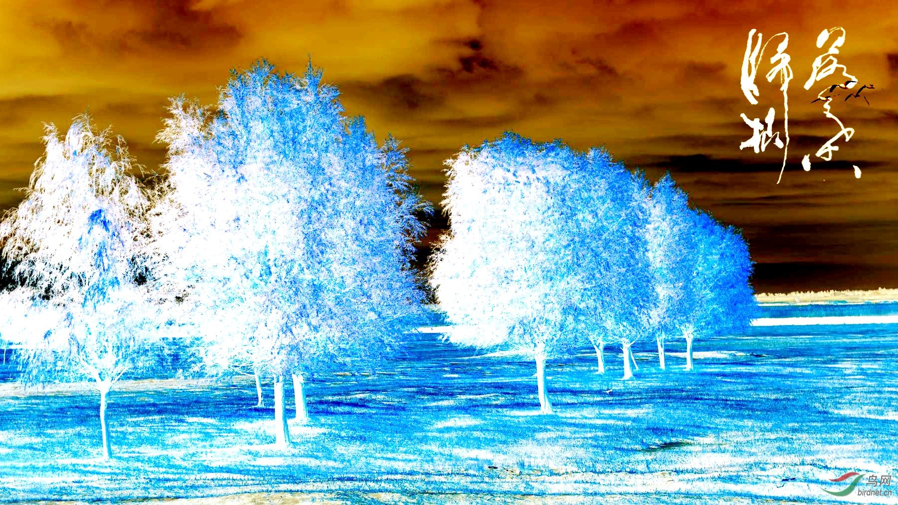 DSC_3817_���� ����_����.jpg