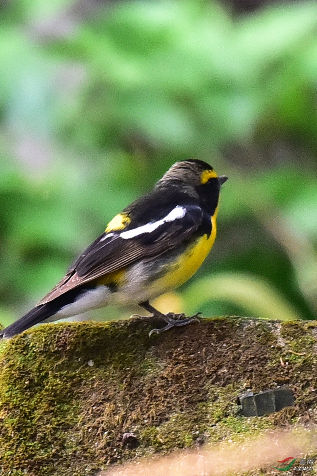 DSC_0469.JPG