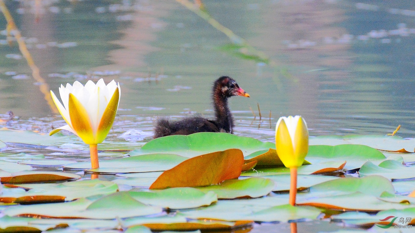 DSC_7624.JPG