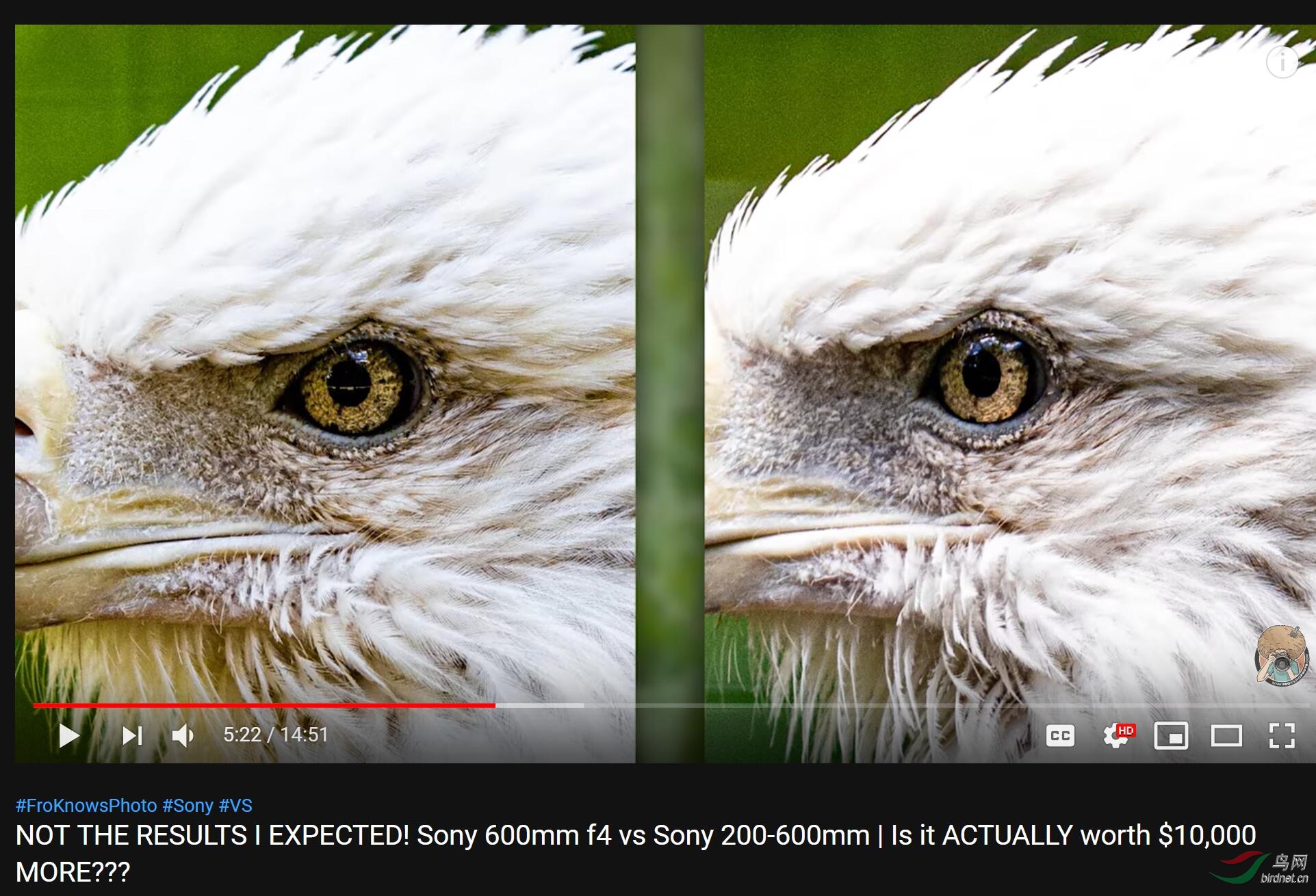 9487975_1563323780040.jpg