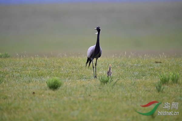 _DSC5998.jpg