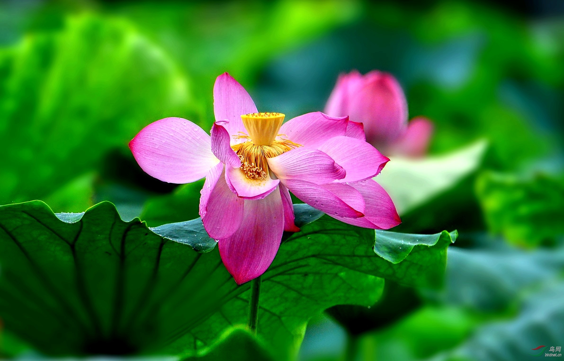 DSC_8324_conew4.jpg