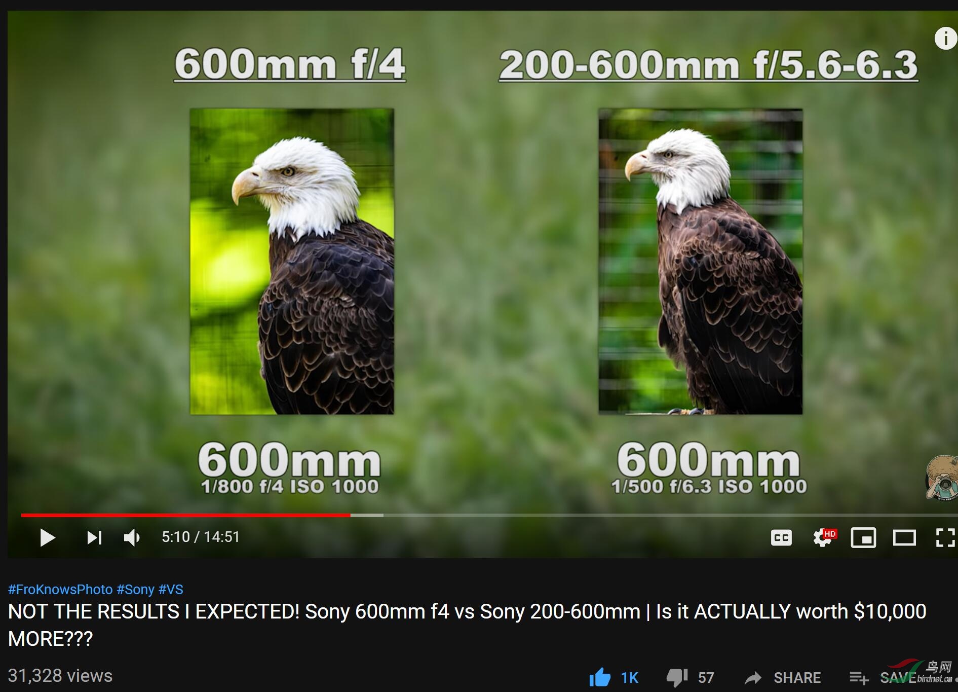 9487975_1563323779979.jpg