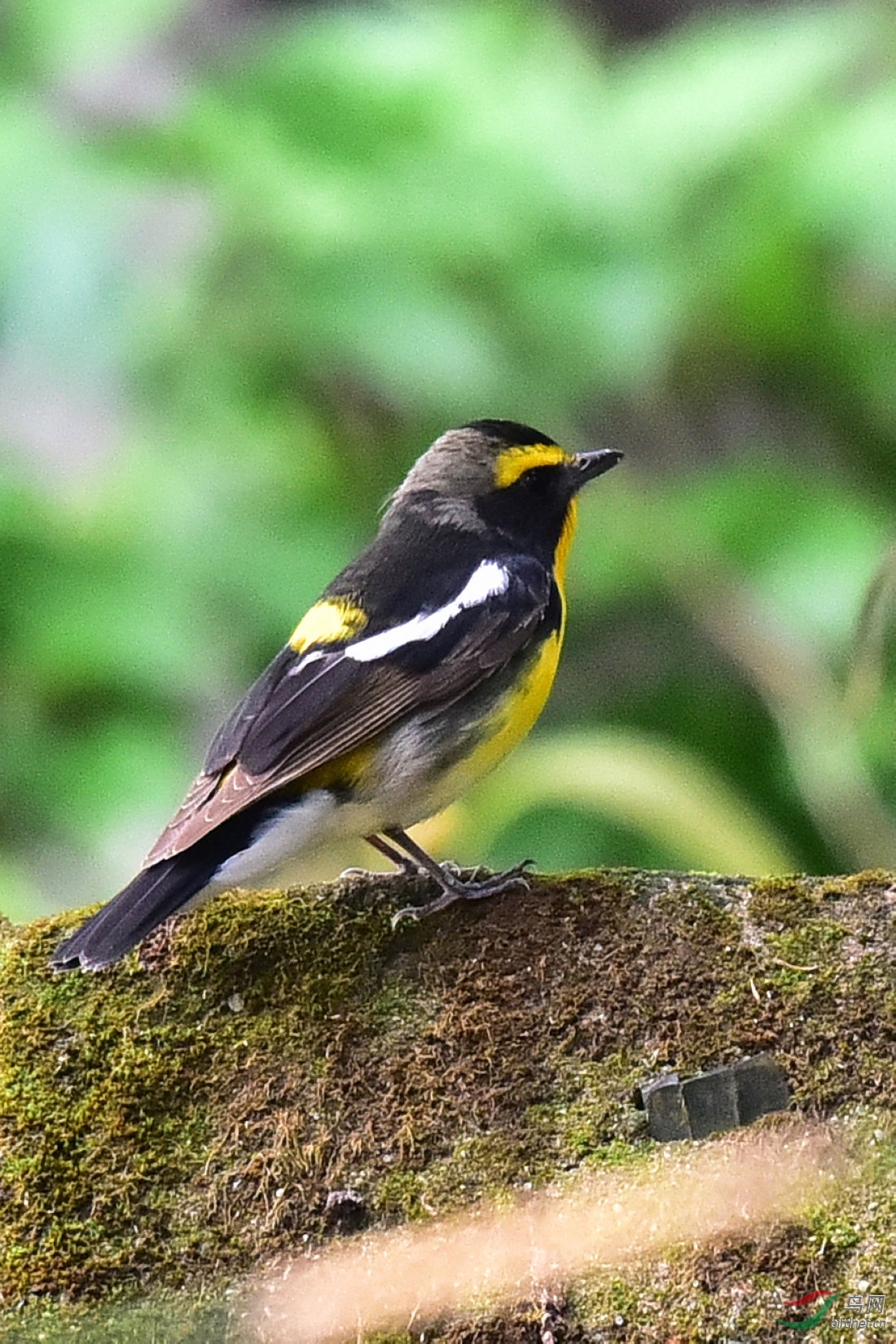 DSC_0471.JPG