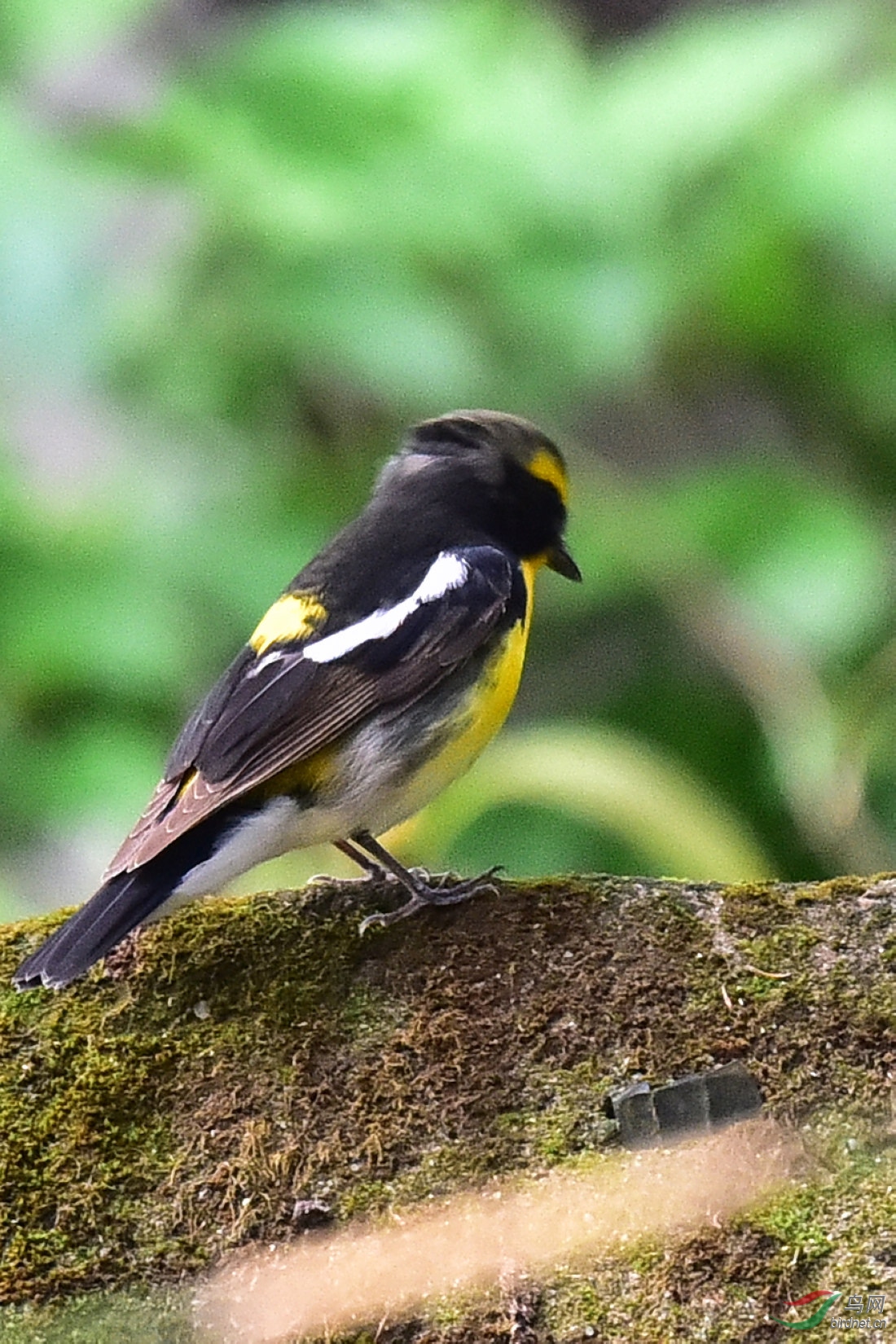 DSC_0472.JPG