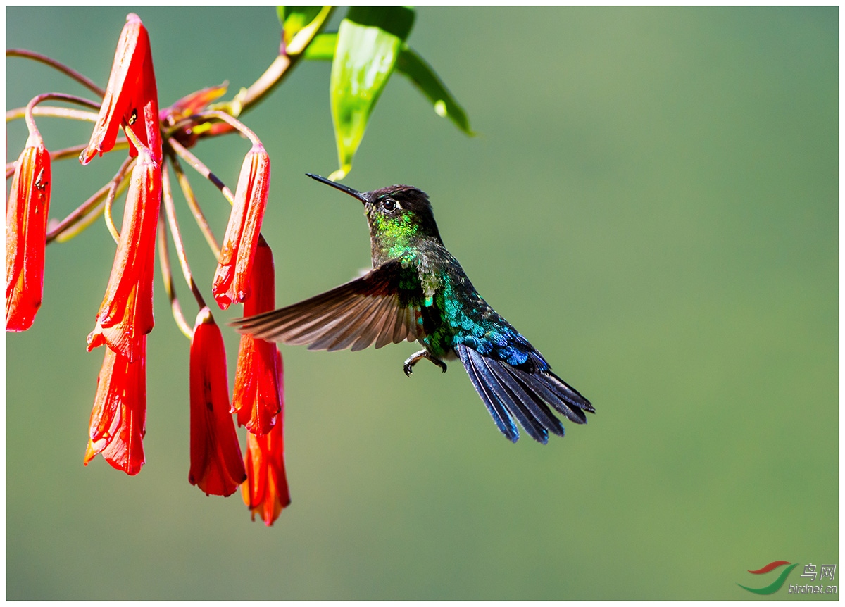 DSC_1059.jpg