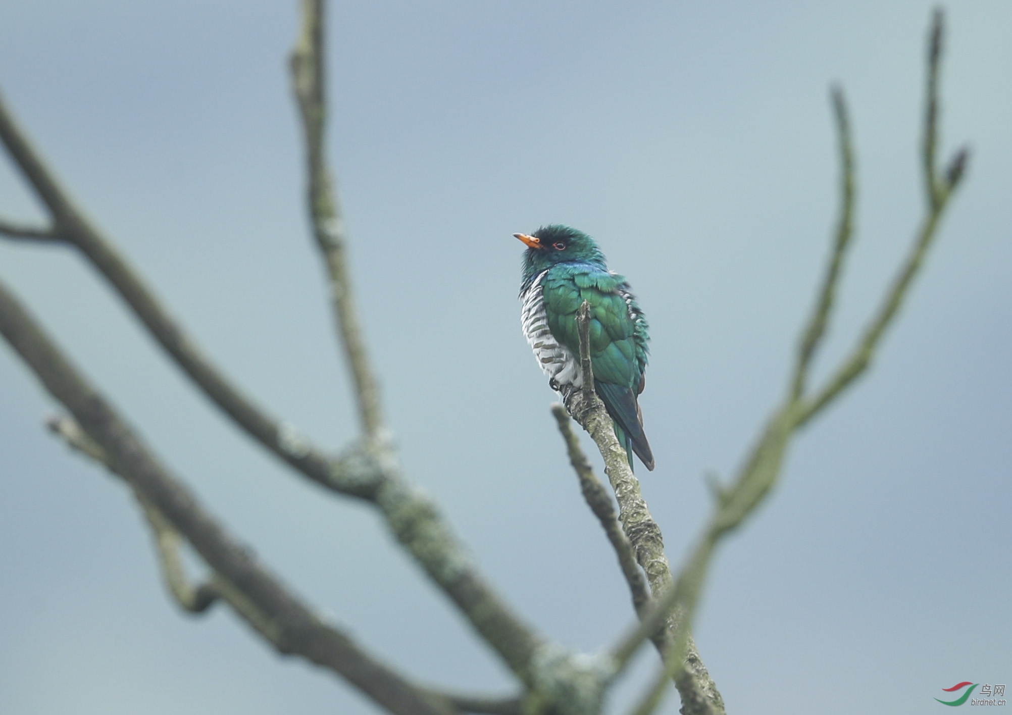 BT1I5670-1�� (6).jpg