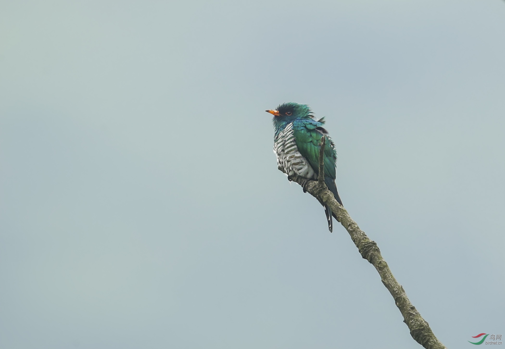 BT1I5670-1�� (7).jpg