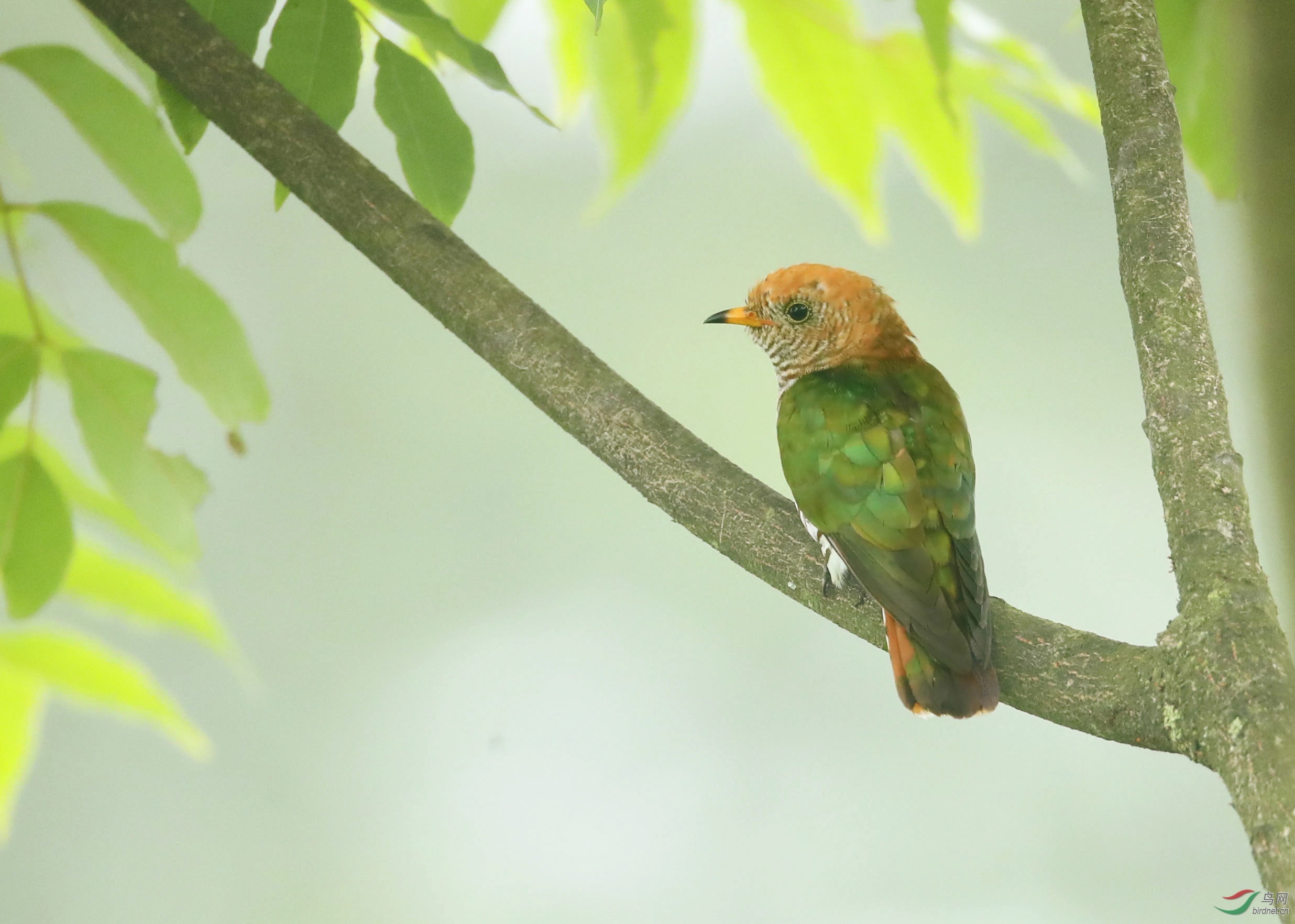 BT1I5670-1=. (5)-1-1.jpg