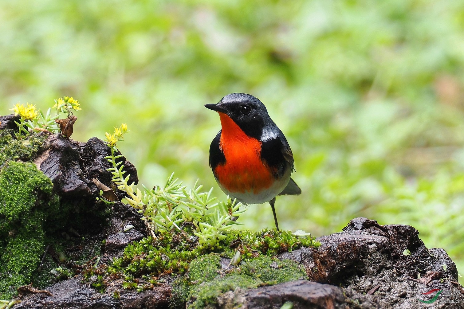 P5143256_����_DxO (����).jpg