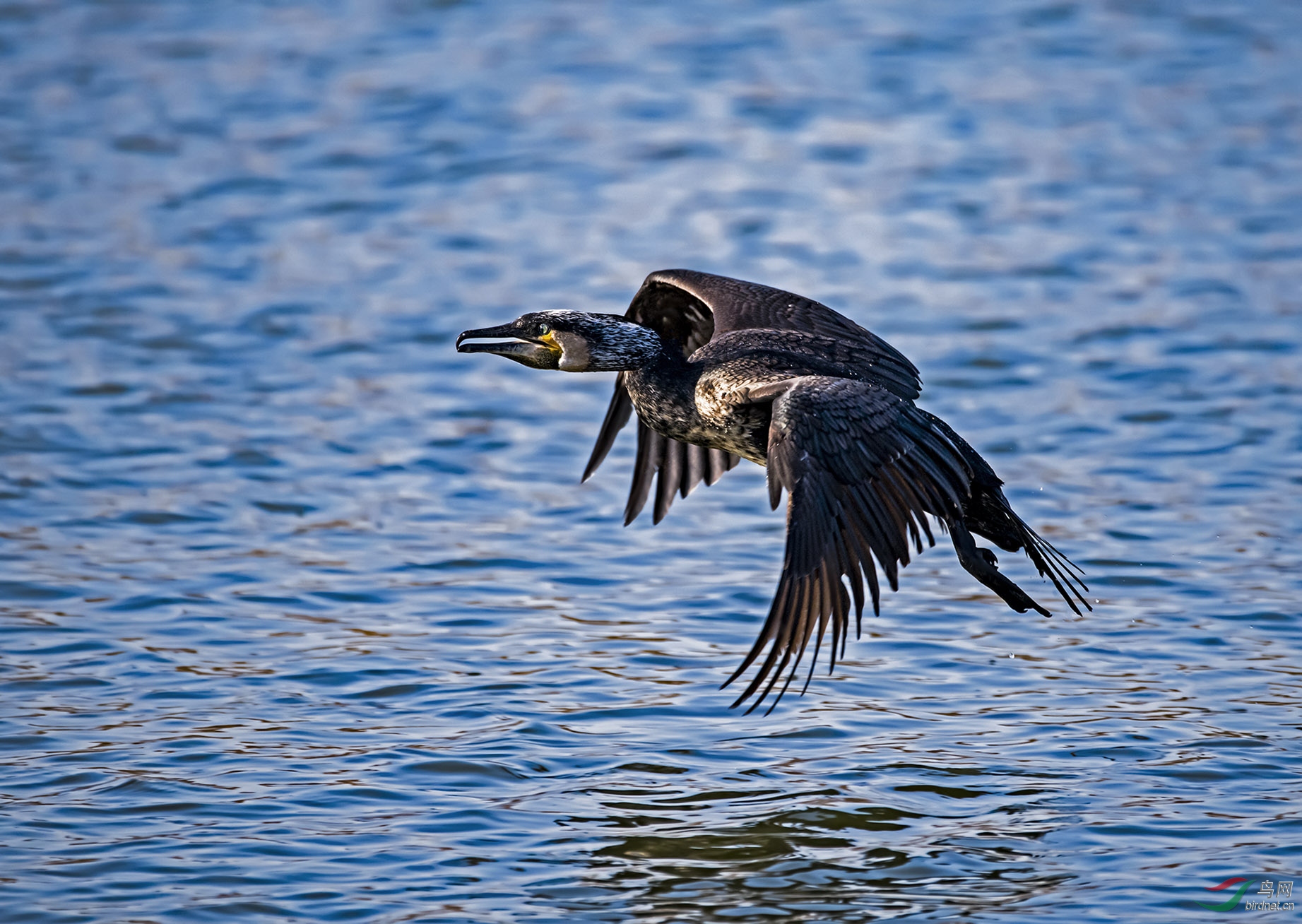 DSC_5475.jpg