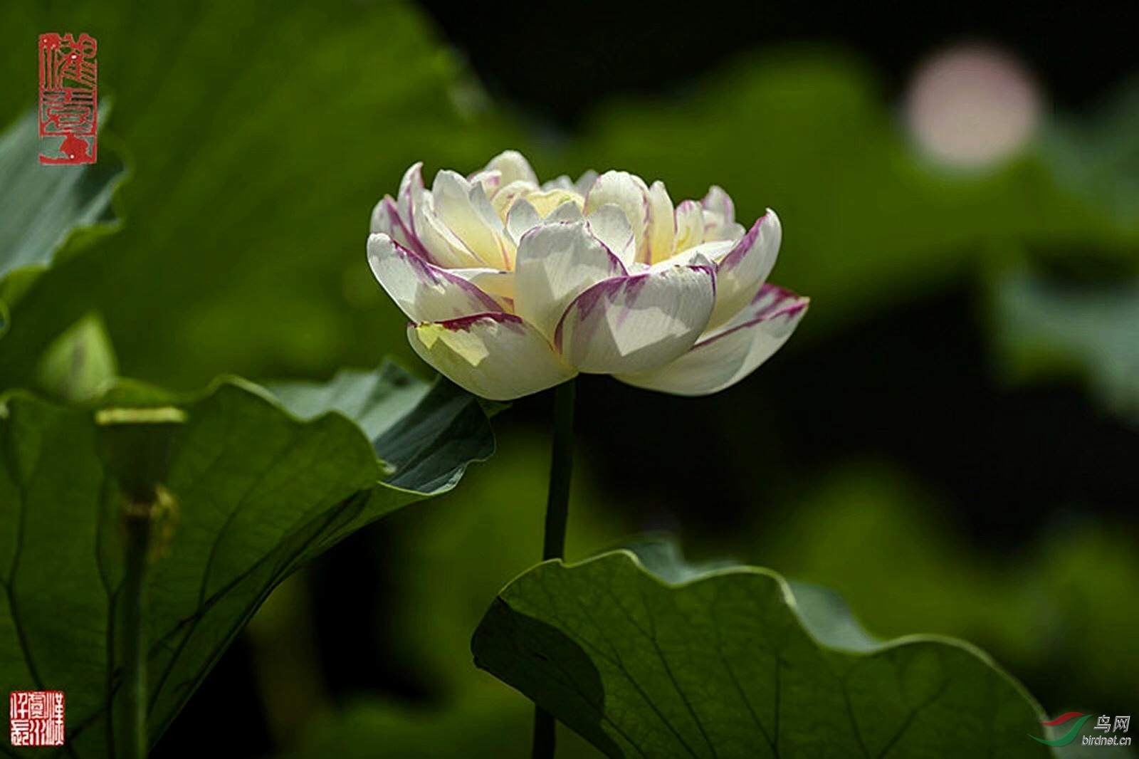 32F7617C-CE34-407F-A4BA-9CA5D54DB3B1.jpeg