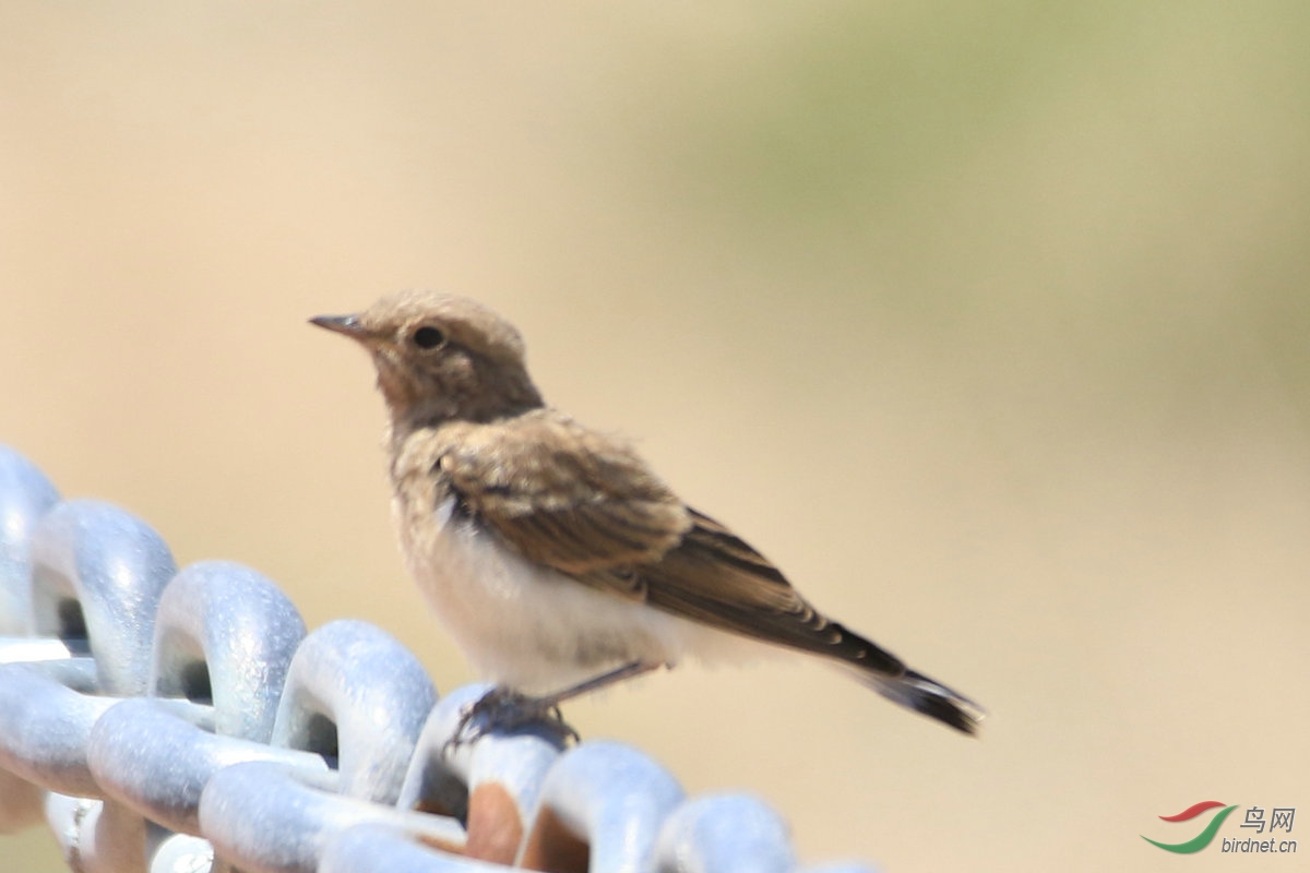 6����Ҵ��ϼ�����ĵ��ġ�