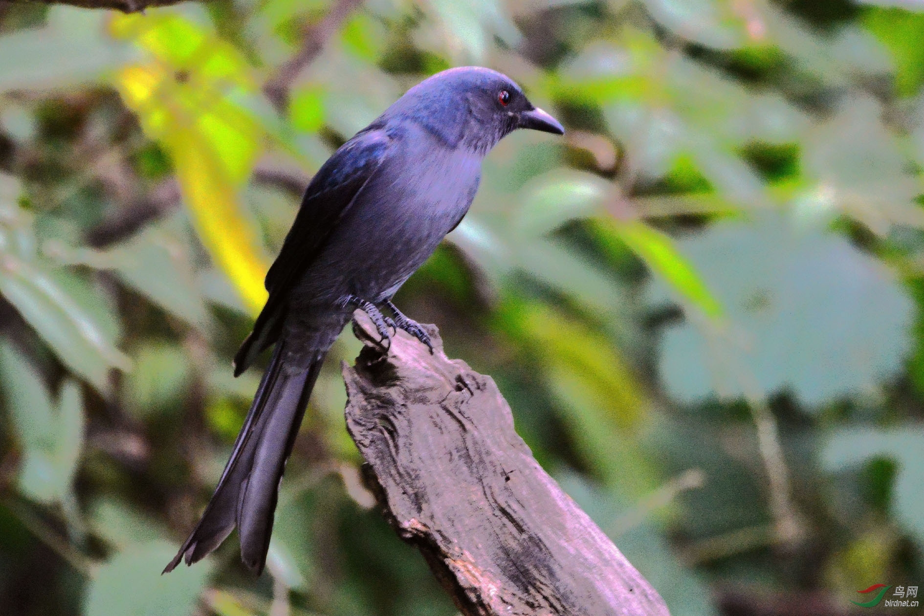 DSC_5687.JPG