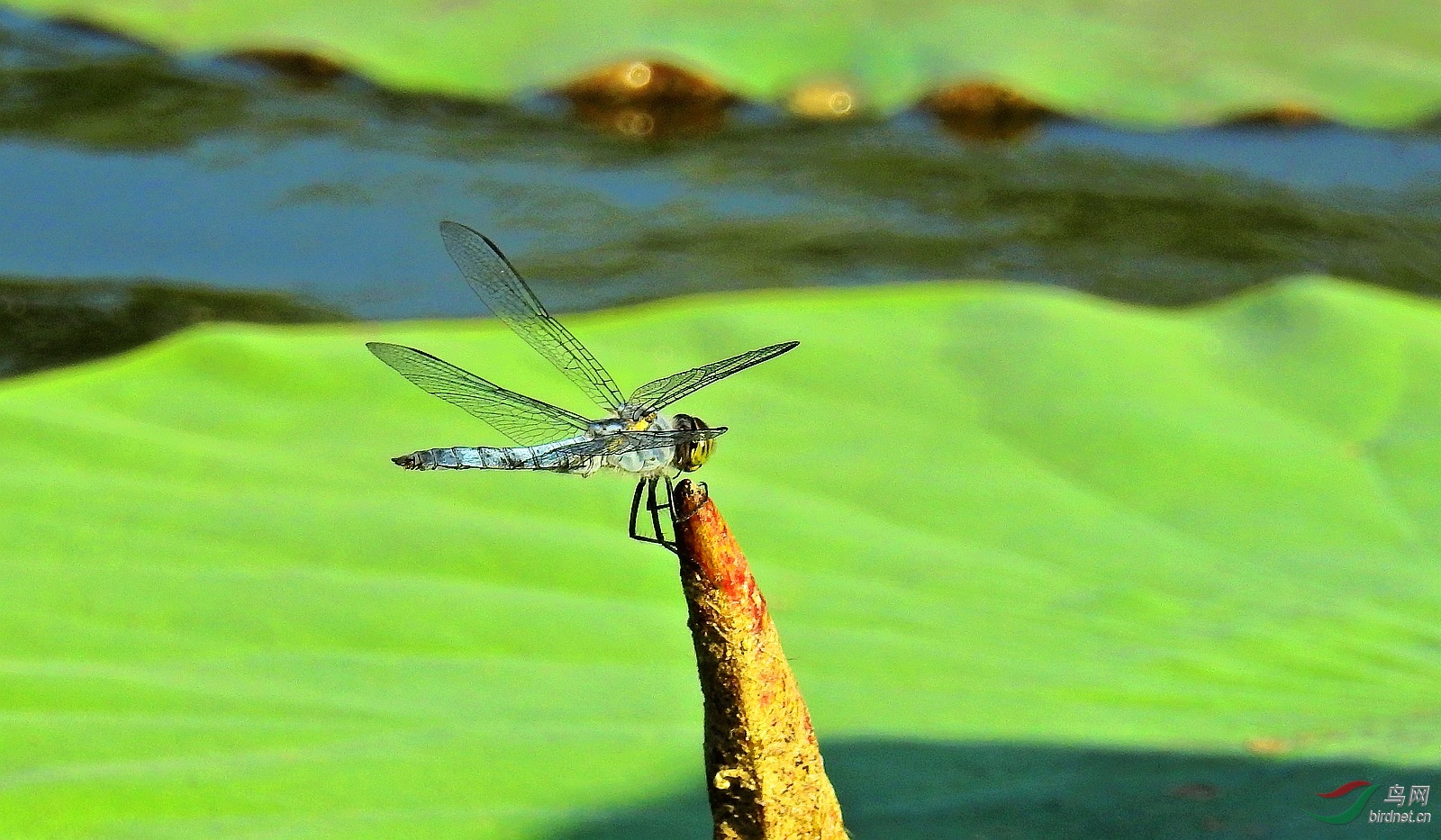 DSCN9225.JPG