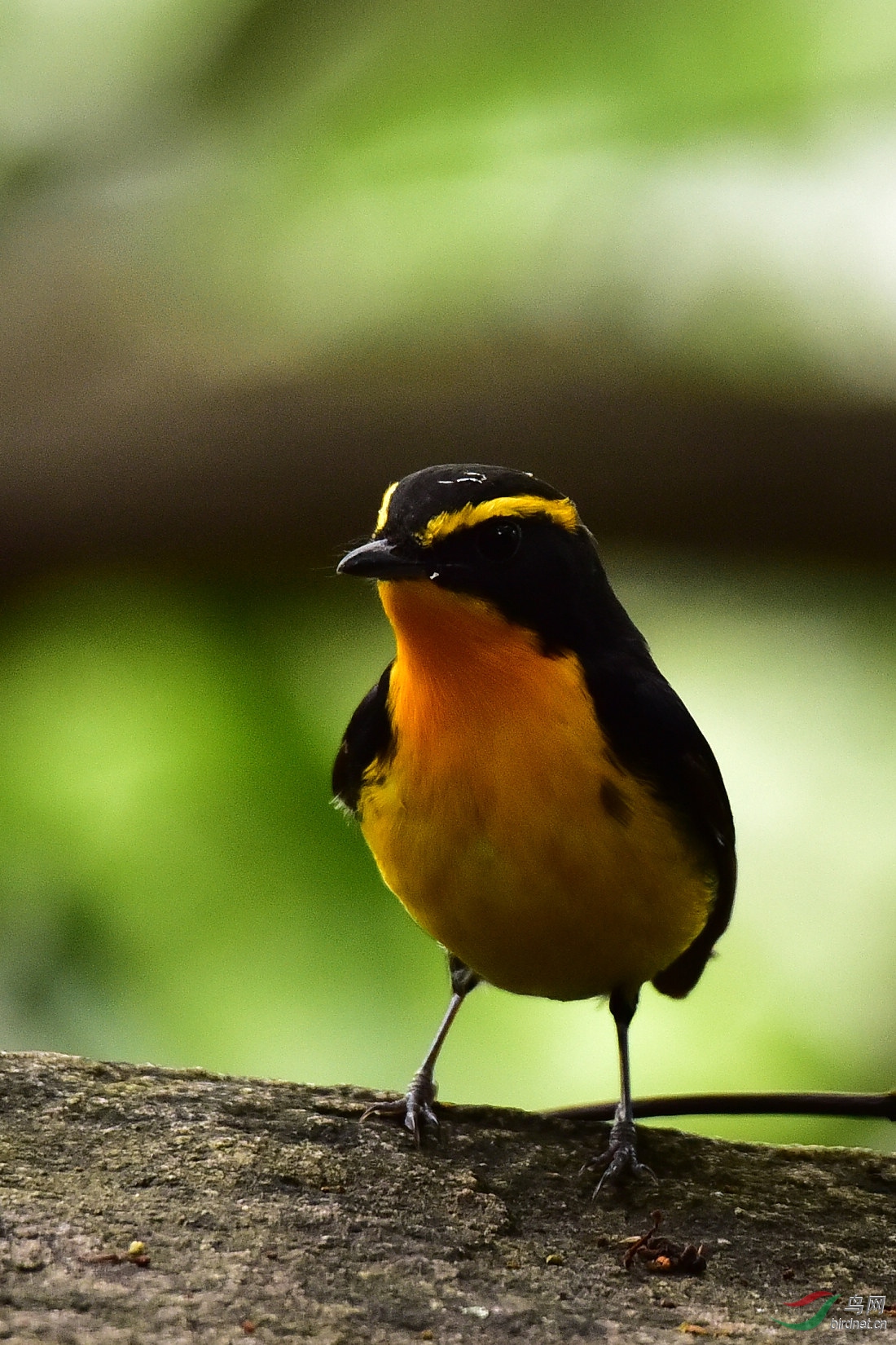 DSC_0480.JPG
