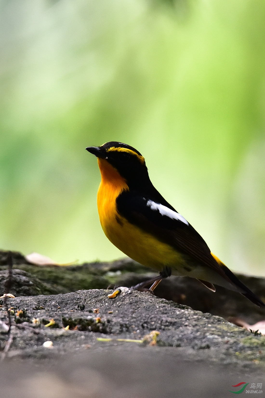 DSC_0483.JPG
